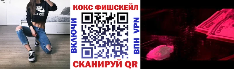 mega ТОР  цены наркотик  Сальск  Cocaine Fish Scale 
