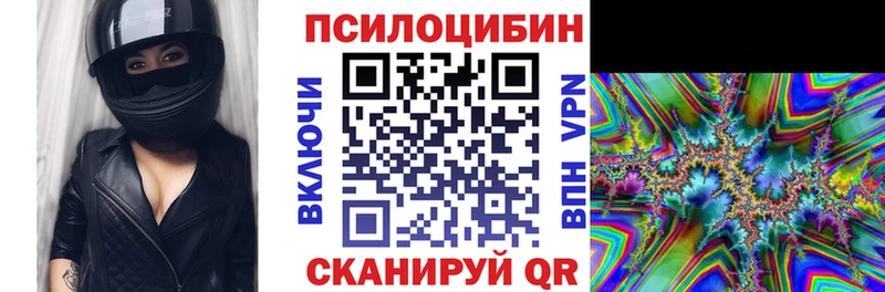 KRAKEN ссылки  Сальск  Псилоцибиновые грибы Magic Shrooms 